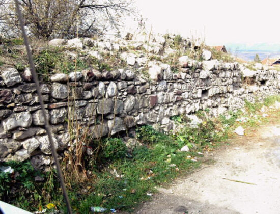 РЕМЕЗИЈАНА